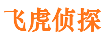 崇阳侦探公司